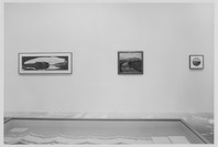 The Long View: Works from the Collection. Sep 8–Oct 25, 1994.