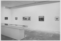 The Long View: Works from the Collection. Sep 8–Oct 25, 1994.