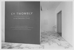 Installation photo, 1 of 37