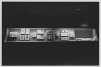 A Century of Artists Books. Oct 23, 1994–Jan 24, 1995. 1 other work identified