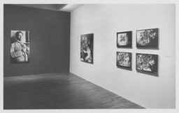 Installation photo, 3 of 16