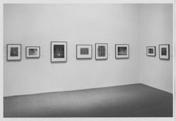 Installation photo, 5 of 17