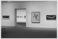 Recent Acquisitions: Photography. Jan 19–Apr 11, 1995.