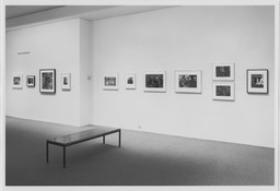 Recent Acquisitions: Photography. Jan 19–Apr 11, 1995. 