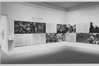 The Silence: Photographs by Gilles Peress. Jun 15–Aug 1, 1995. 8 other works identified