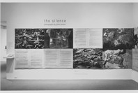 The Silence: Photographs by Gilles Peress. Jun 15–Aug 1, 1995. 4 other works identified