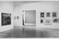 Artist’s Choice: Elizabeth Murray. Jun 20–Aug 22, 1995. 1 other work identified