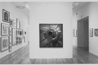 Artist’s Choice: Elizabeth Murray. Jun 20–Aug 22, 1995.