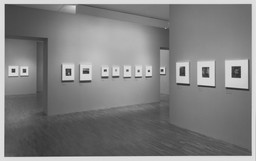 Alfred Stieglitz at Lake George. Sep 14, 1995–Jan 2, 1996. 