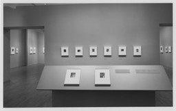 Installation photo, 14 of 15