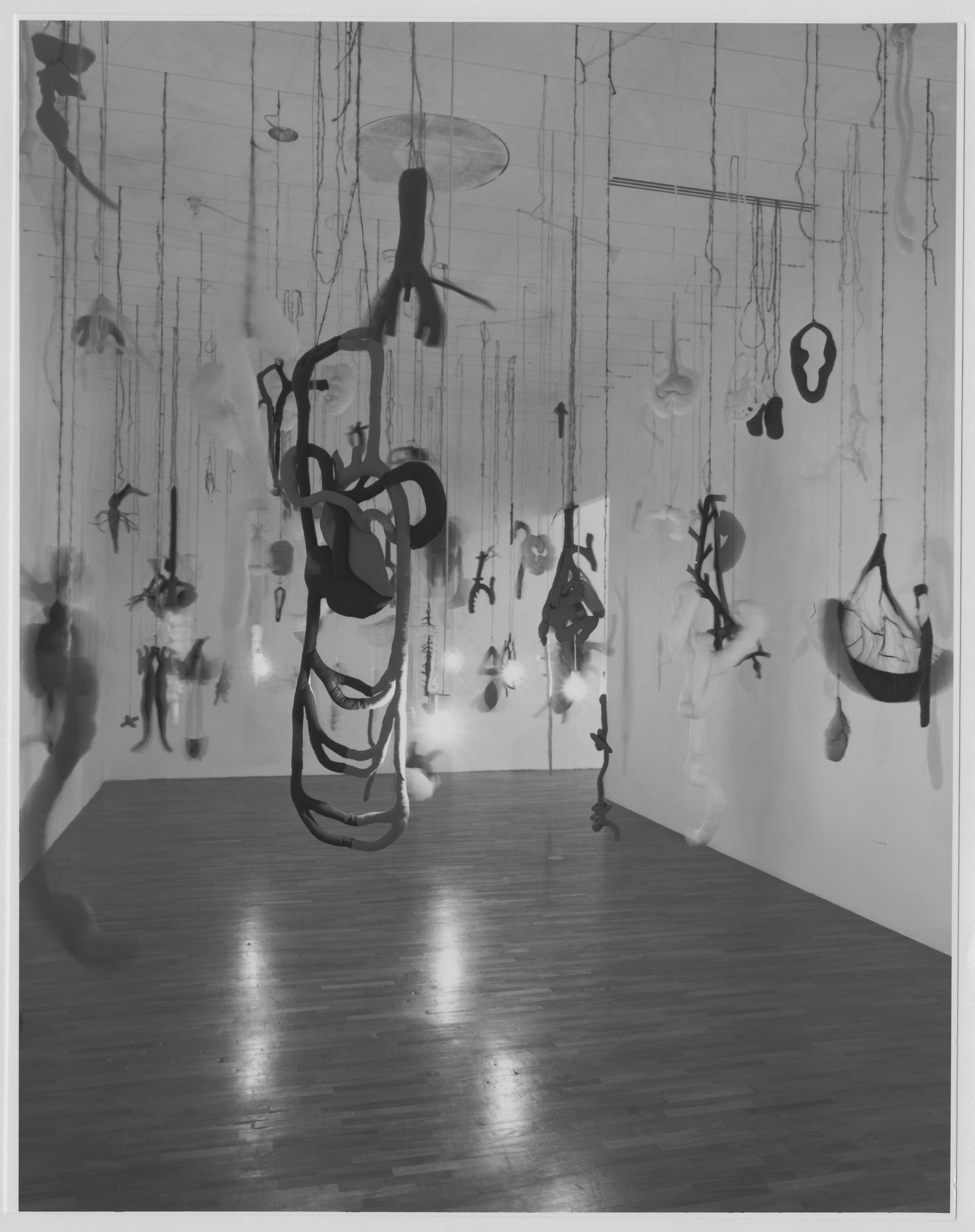 Installation view of the exhibition 