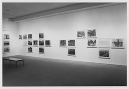 Installation photo, 5 of 11