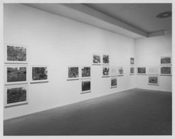 Installation photo, 6 of 11