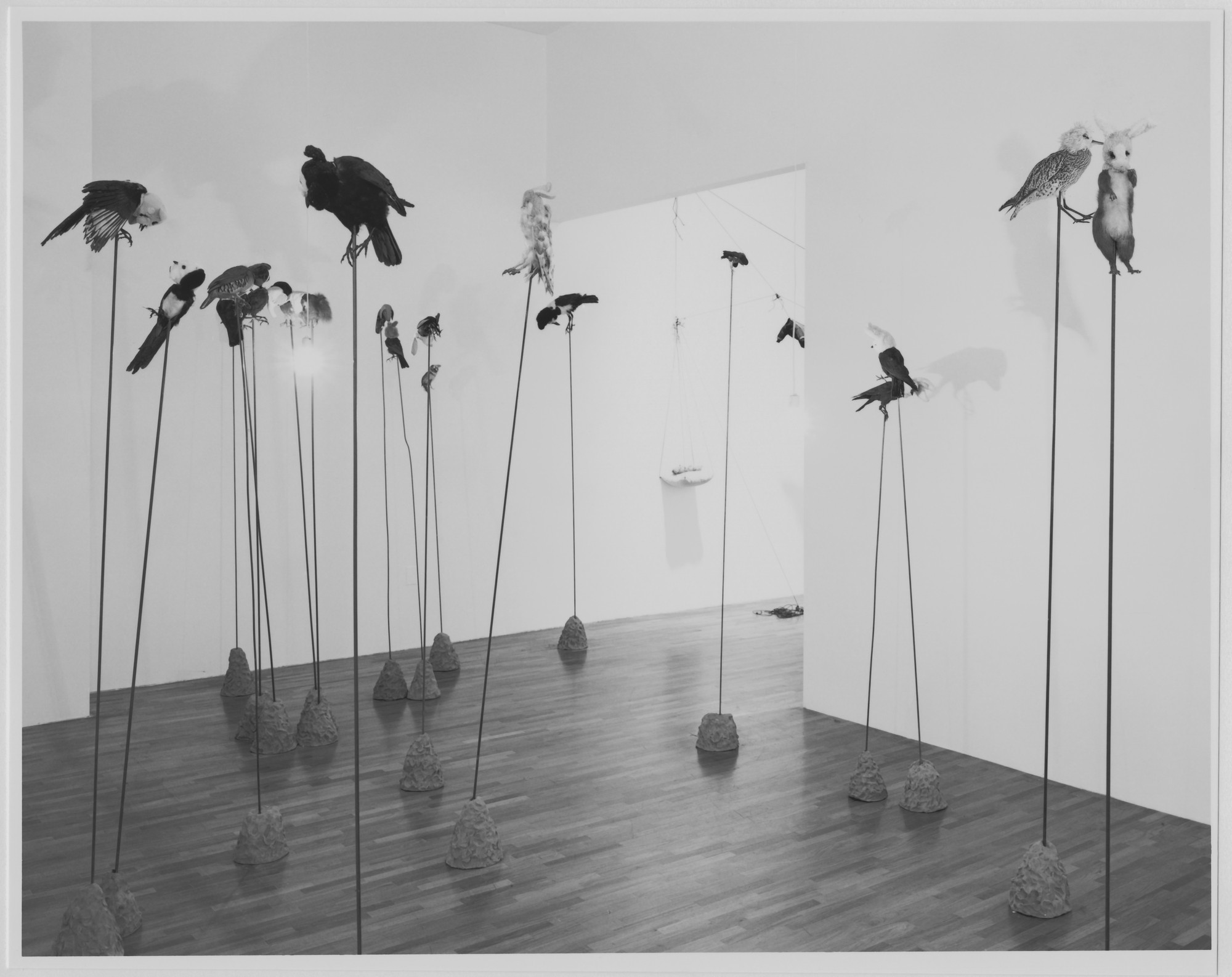 Installation view of the exhibition 