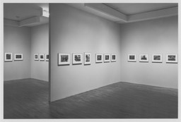 Installation photo, 25 of 26
