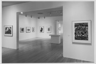 Beuys and After: Contemporary German Drawings from the Collection. Feb 1–May 14, 1996. 2 other works identified