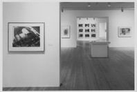 Beuys and After: Contemporary German Drawings from the Collection. Feb 1–May 14, 1996. 3 other works identified