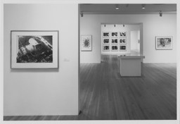 Installation photo, 6 of 13