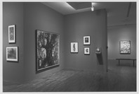 Deformations: Aspects of the Modern Grotesque. Feb 10–May 21, 1996. 2 other works identified