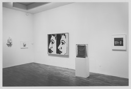 Installation photo, 18 of 26