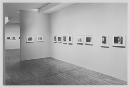 Installation photo, 9 of 26