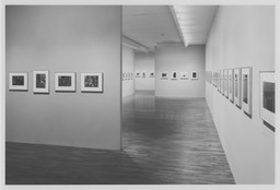 Installation photo, 16 of 26