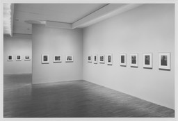 Installation photo, 19 of 26