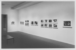 Installation photo, 4 of 9