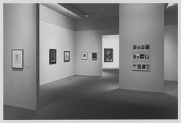 Installation photo, 73 of 74