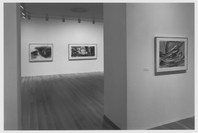 From the Collection: A Century of American Drawing. May 23–Sep 17, 1996. 2 other works identified