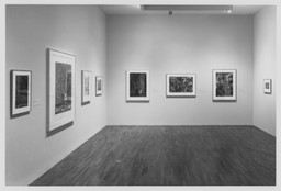 Installation photo, 55 of 71