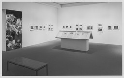 Installation photo, 6 of 13
