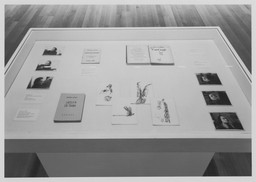 Installation photo, 7 of 14