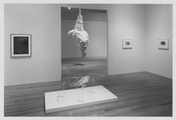 Installation photo, 7 of 17