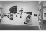 New Photography 12: Richard Billingham, Thomas Demand, Osamu Kanemura, Sophie Ristelhueber, Georgina Starr, Wolfgang Tillmans . Oct 24, 1996–Feb 4, 1997. 1 other work identified