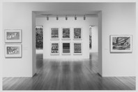 The Maximal Sixties: Pop, Op, and Figuration. Jan 18–Apr 29, 1997. 6 other works identified