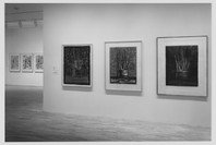 Jasper Johns: Process and Printmaking. Oct 17, 1996–Jan 21, 1997. 1 other work identified