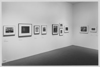 American Photography 1890–1965 from the Collection. Feb 20–Oct 8, 1997. 1 other work identified