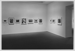 Installation photo, 19 of 19