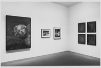 American Photography: Recent Acquisitions. Feb 20–Apr 15, 1997.