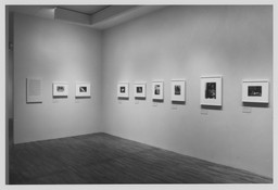 Installation photo, 8 of 25