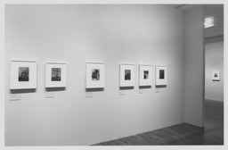 Installation photo, 10 of 25