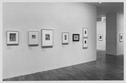 Installation photo, 7 of 16