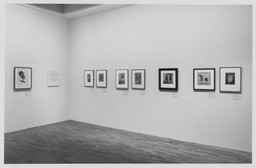 Installation photo, 8 of 16
