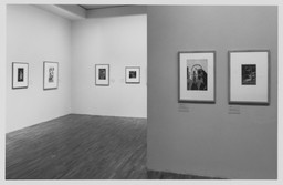 Installation photo, 14 of 16