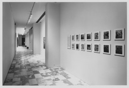 Installation photo, 26 of 26