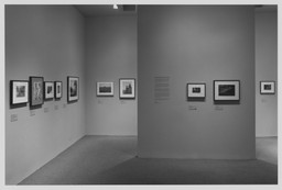 Installation photo, 3 of 19