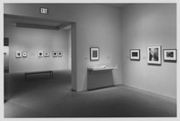 American Photography 1890–1965 from the Collection. Feb 20–Oct 8, 1997.