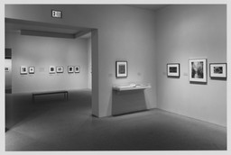 American Photography 1890–1965 from the Collection. Feb 20–Oct 8, 1997. 