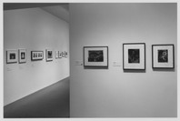 American Photography 1890–1965 from the Collection. Feb 20–Oct 8, 1997.